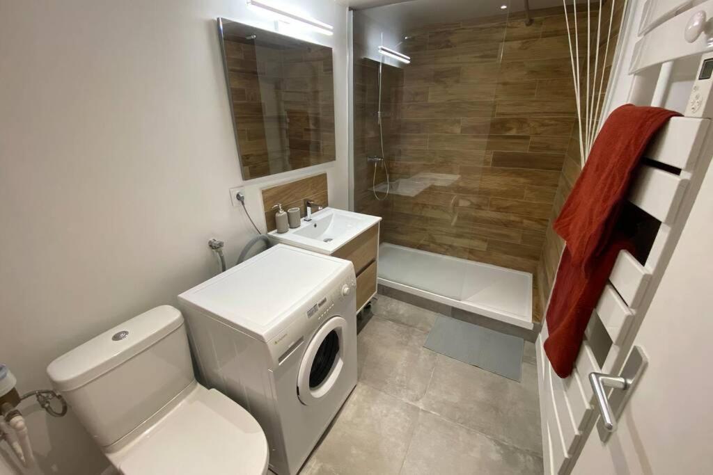 Place De Metz, Hyper-Centre Grenoble, Studio 25 M2 Exterior foto